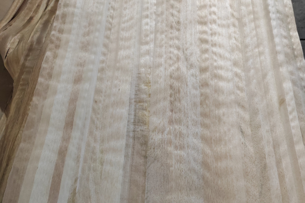 Sapele Natural Wood Veneer