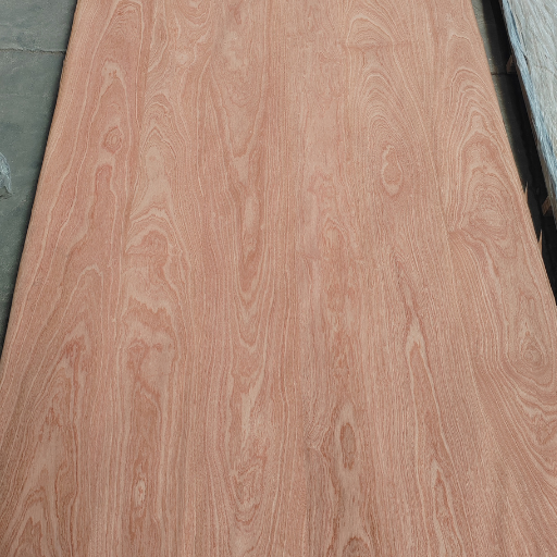 Sapele Natural Wood Veneer