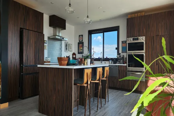 Applications for Ebony Natural Wood Veneer