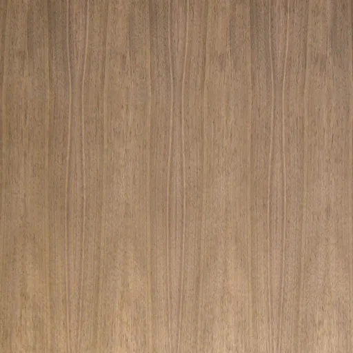 Introduction to Walnut Veneer