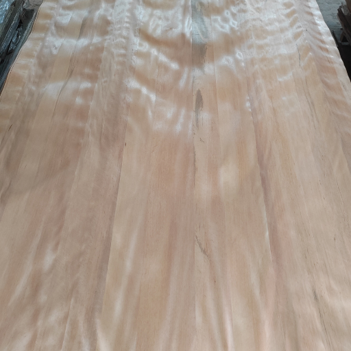 Lacquer Natural Wood Veneer