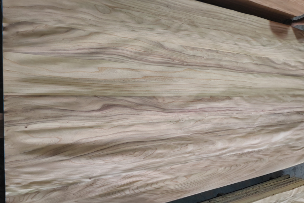 Elm Burl Veneer