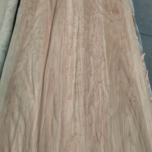 Elm Burl Veneer