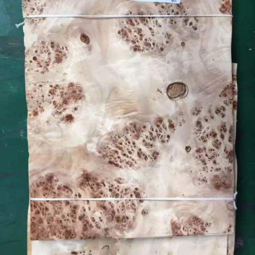 Mappa Burl Veneer