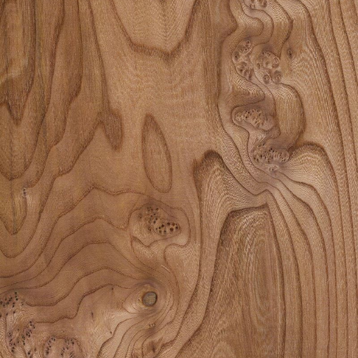 Elm Burl Veneer
