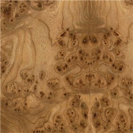 Elm Burl Veneer