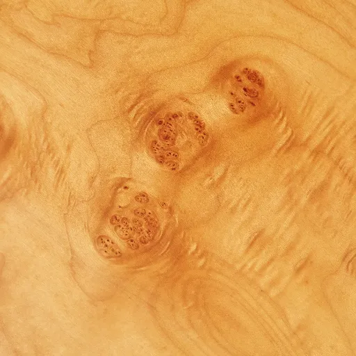 Statistics and Case Studies on Burl Veneer Usage