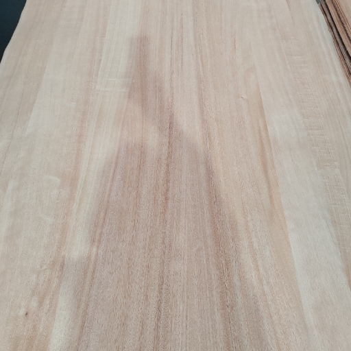 Chapa de madera de nogal