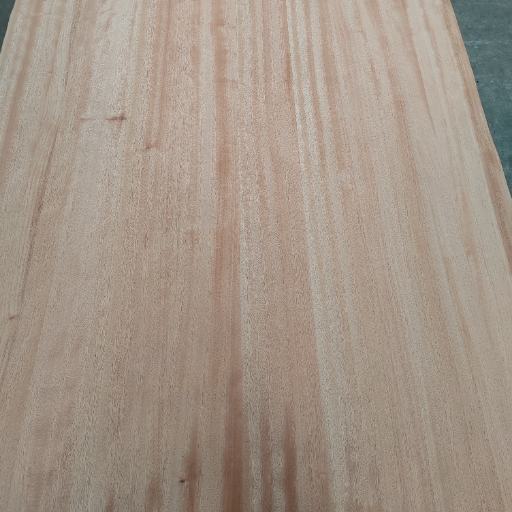Chapa de madera de nogal