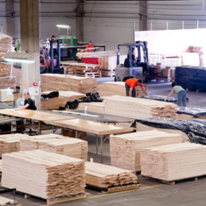 Selection of Logs for Veneer Production