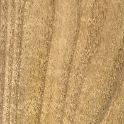 Oak Natural Wood Veneer