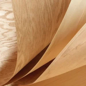 Wood Veneer Import/Export Guide: Regulations and Documentation