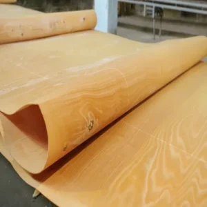 How to Start a Wood Veneer Manufacturing Business: Complete Guide