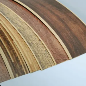 Digital Printing on Wood Veneer: Technology and Applications