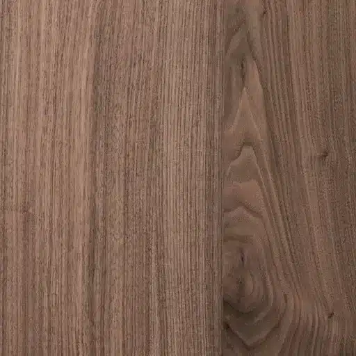 Idées de design pour le panneautage mural en bois