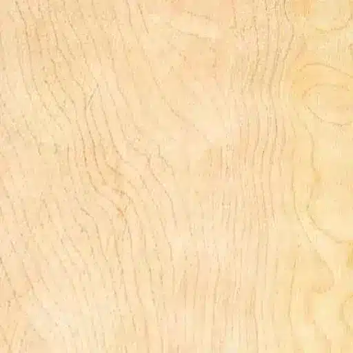 What Is Birch Wood? The Wood Behind Everyday Projects