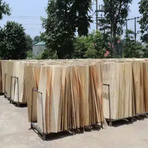 Phase 4 — Drying and Moisture Stabilization