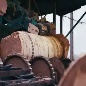 2026 Technology Transforming Veneer Production