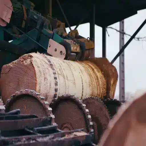 2026 Technology Transforming Veneer Production