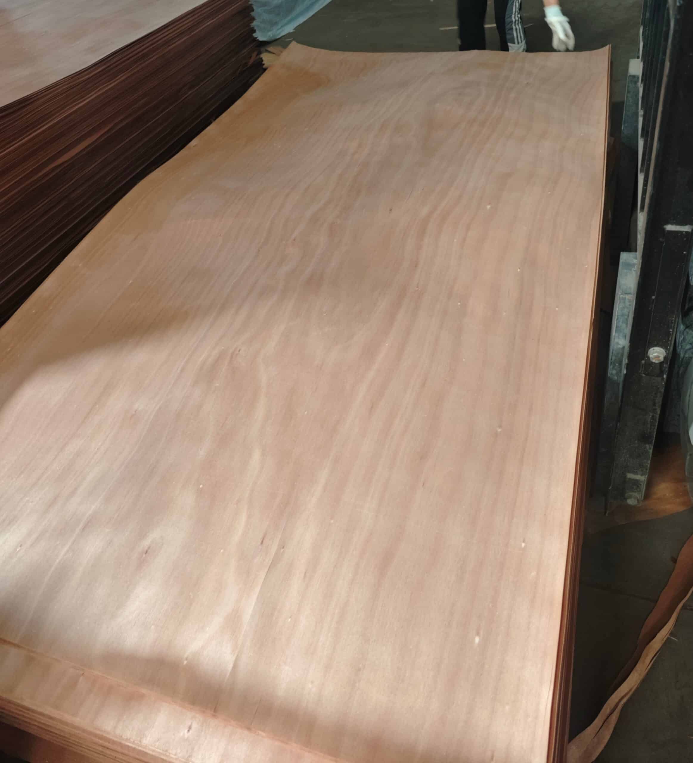 Oak Natural Wood Veneer