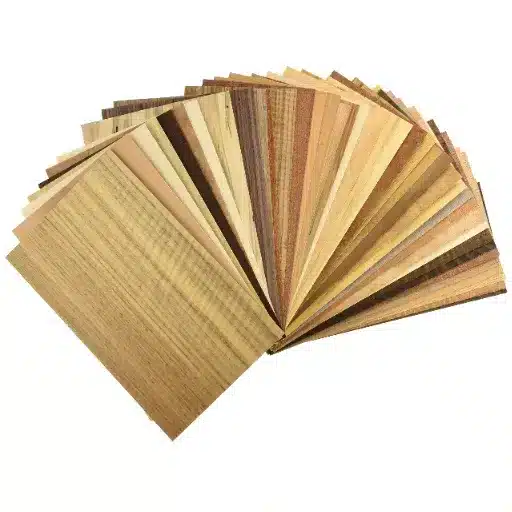 How to Evaluate a Veneer Supplier's Supply Chain