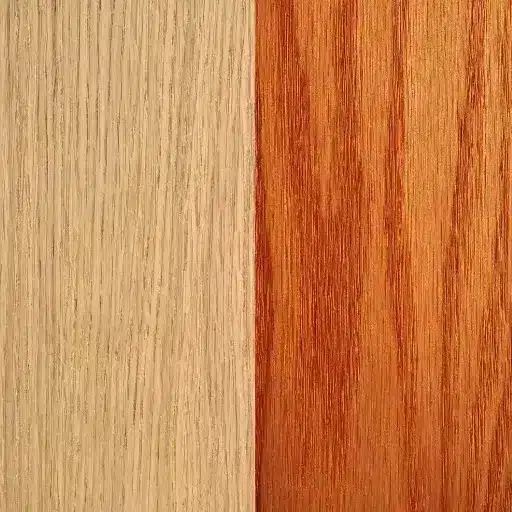 Oak Species_ White Oak, Red Oak, and European Oak