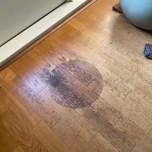 Removing Dark and Black Water Stains on Wood Floors
