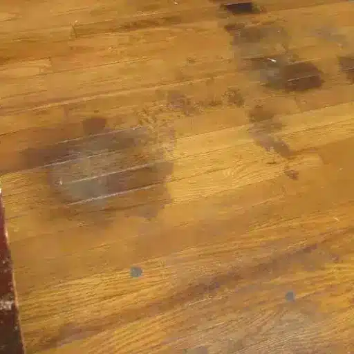 What Causes Tannin Stains on Wood_