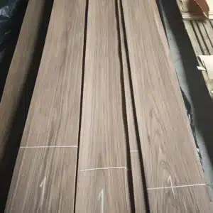 BLACK WALNUT CROWN CUT 2.5M+ AAA