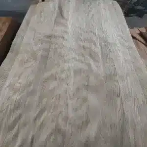 RUSSIA ELM WOOD VENEER GRADE C HALF CROWN CUT FOR PANEL LENGTH 250CM WIDTH 125CM