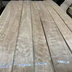 CHINESE WALNUT VENEER CROWN CUT 2.5M+A