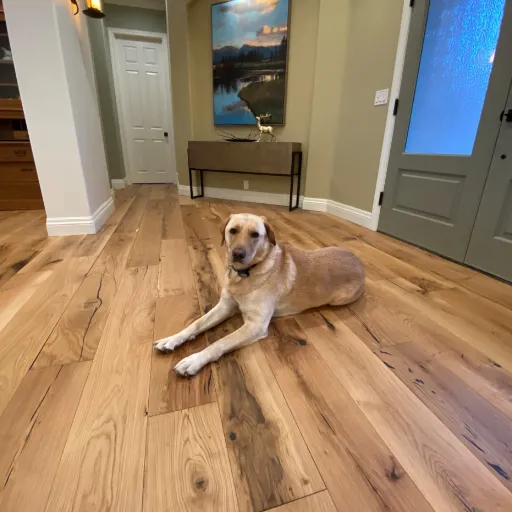 The Five Specifications That Decide Whether a Floor Survives a Dog