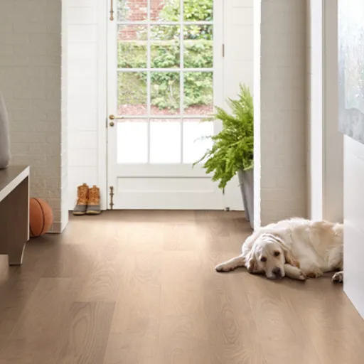 The Short Answer_ What Is the Best Prefinished Flooring for Dogs_